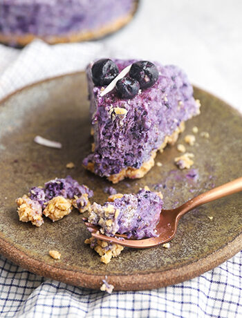 Blueberry Chia Pudding Cake (Vegan + Gluten Free)