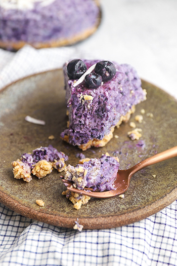Blueberry Chia Pudding Cake (Vegan + Gluten Free)